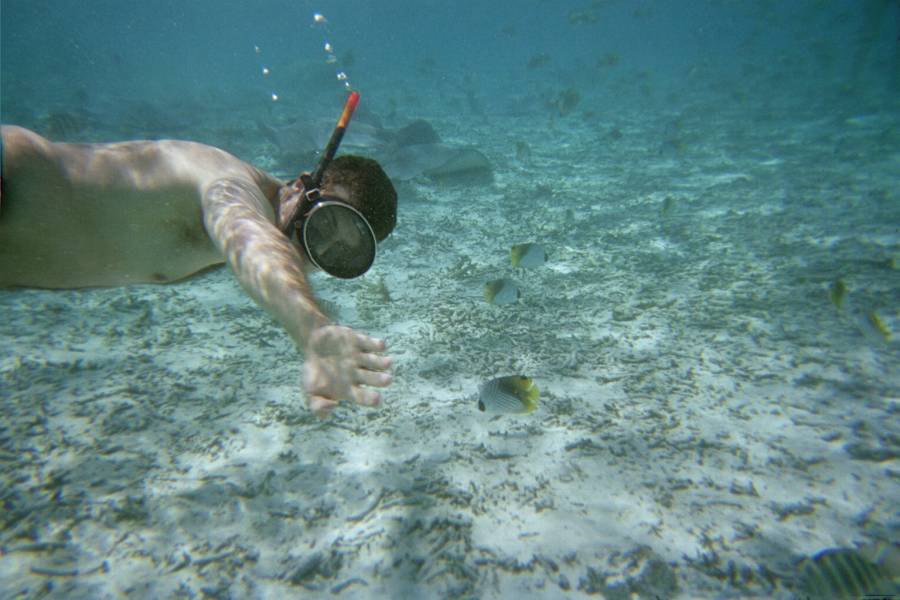 Jeff Snorkeling, Bora Bora