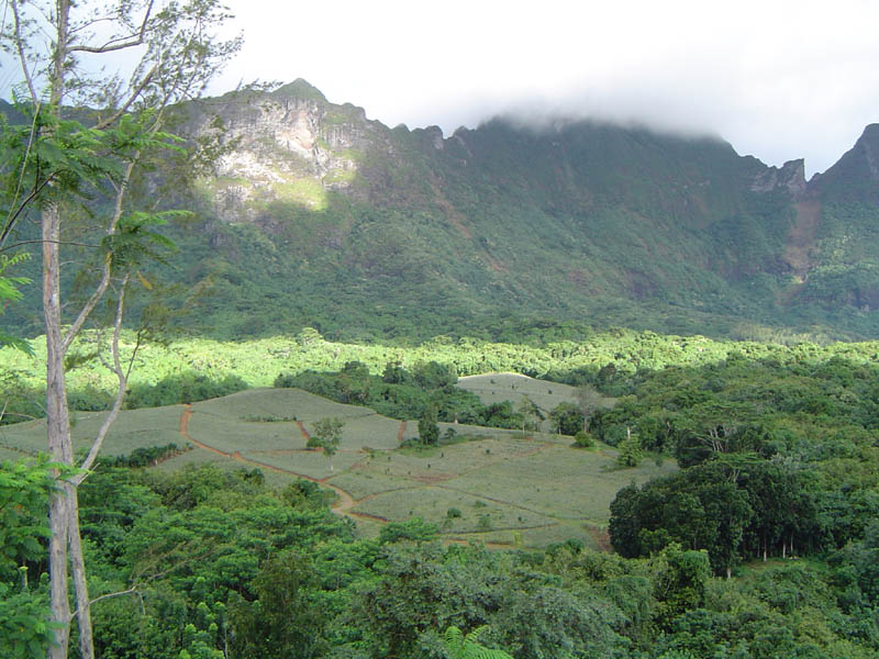 View of Pineapple Field from 4x4 Excursion, Moorea