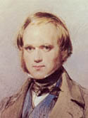 Charles Darwin as a Young Man