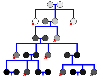 Evolution Conceptual Family Tree - Single Lineage