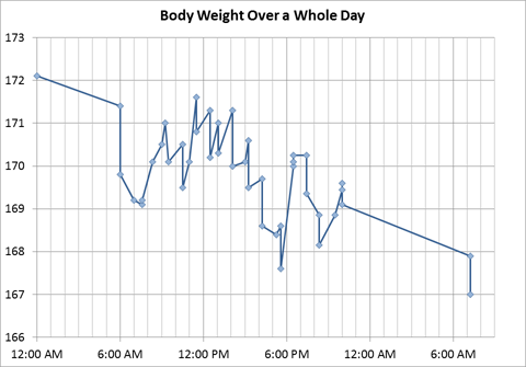 Body Weight Over a Whole Day