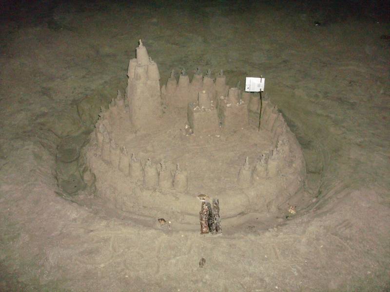 Sand Castle at Galveston