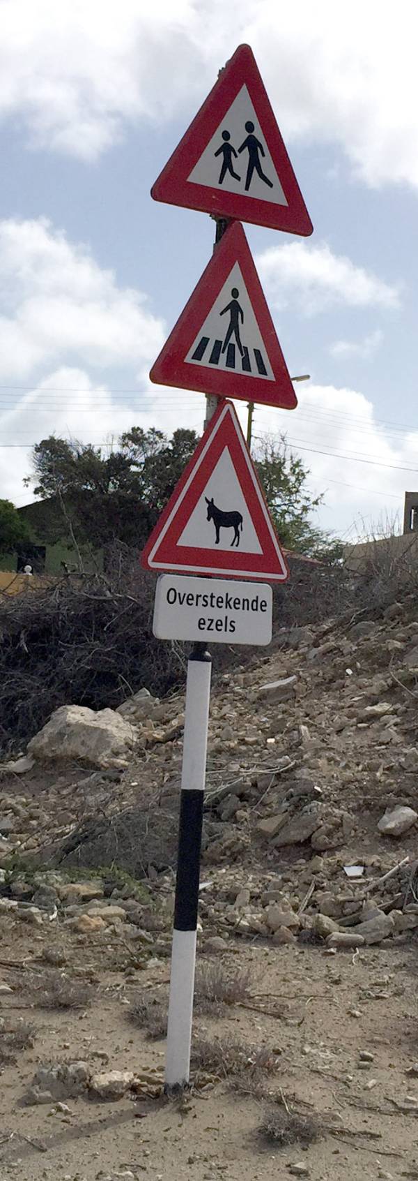 Donkey Warning Sign