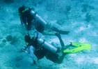 Irma & Jeff Diving