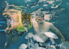 Jeff and Irma Snorkeling