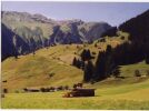 Farm in Swiss Alps