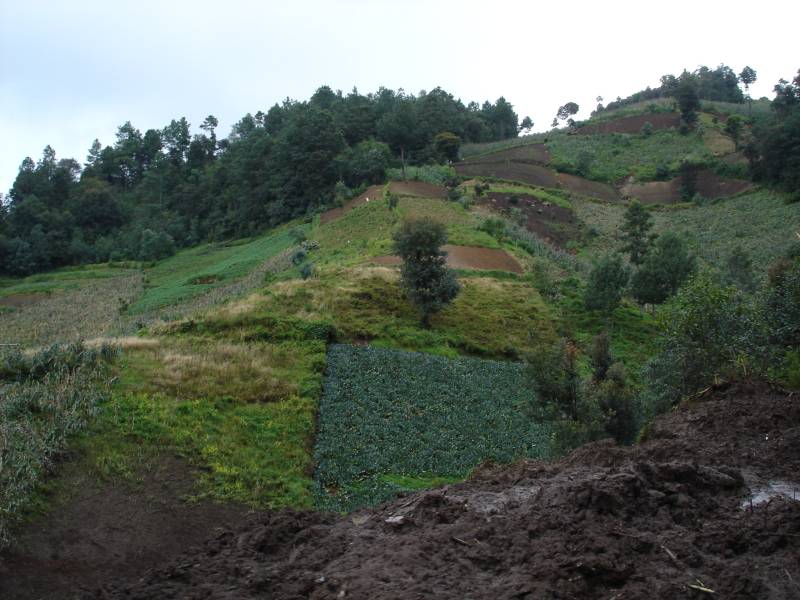 Farmed Hill