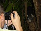 Scott Photographing a Coati near Lake Atitlan