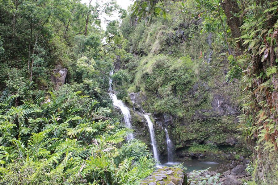 Waterfall on Road to Hana