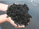 Black 'Sand' of Waianapanapa