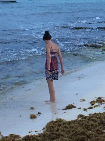 Alex Looking for Shells, Playa del Carmen