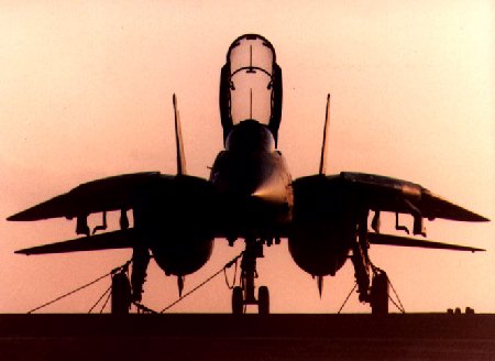 F-14 Tomcat front view