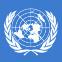 UN Flag Logo
