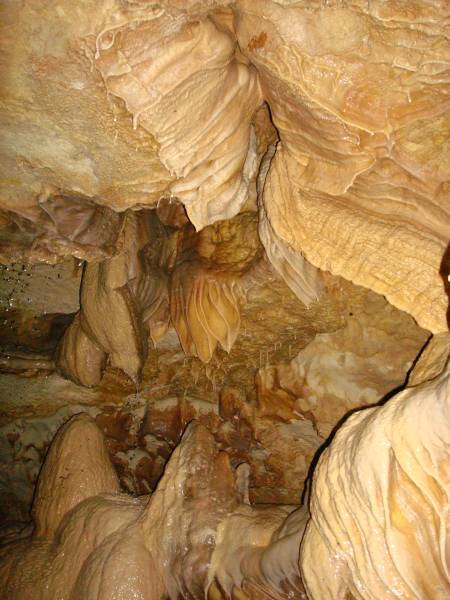 Formation in Natural Bridge Caverns